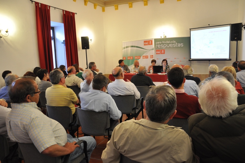 consejera_cruz_en_vejer_2