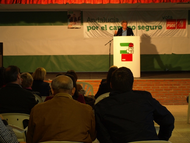 20120322_Palmones3w