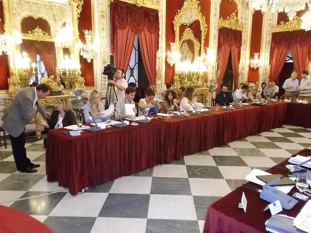 20131016 Pleno octubre a