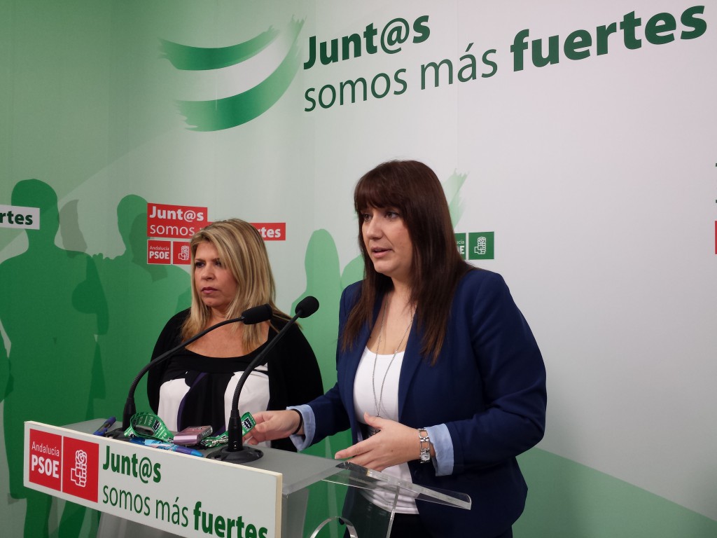 20131115 RP rechazo enmiedas