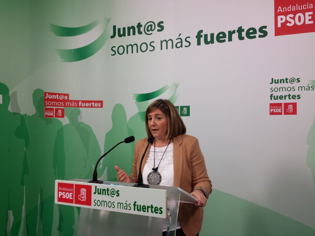 20131119 Irene García Rueda presupuestos