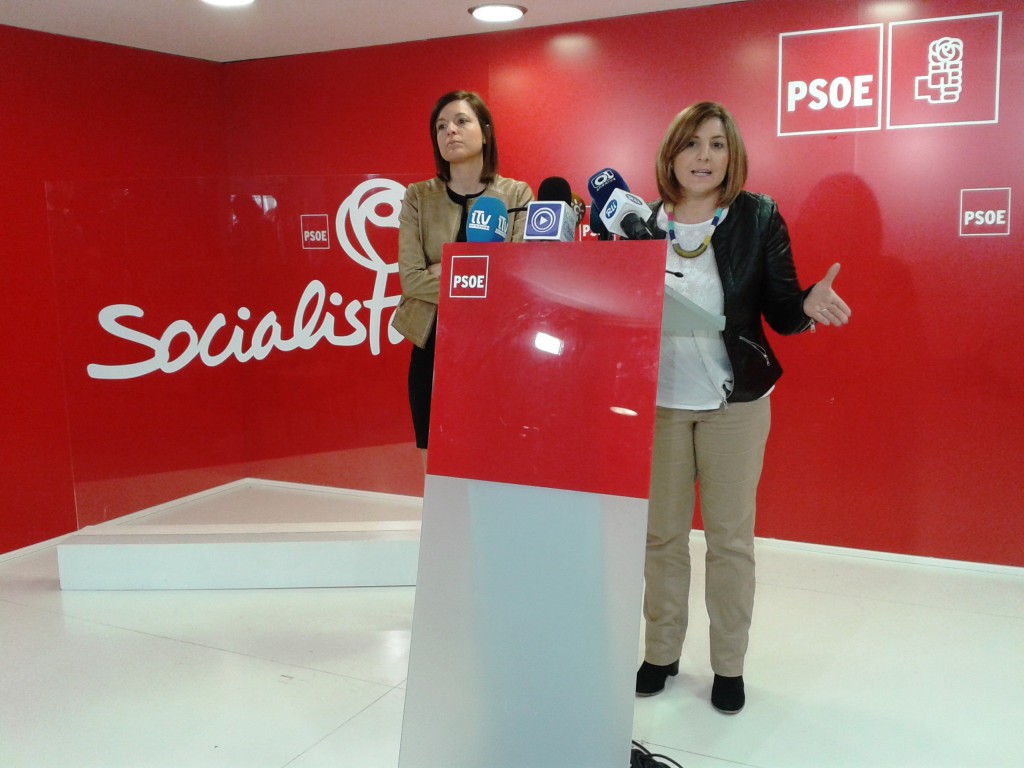 20140326 Irene García y Patricia Cavada - PITVI