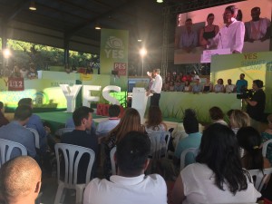 mario en yes